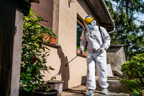 Wasp Removal Services in Artondale, WA