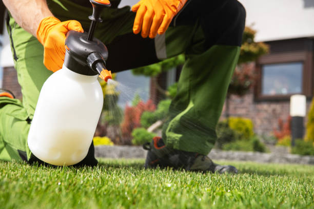 Best Commercial Pest Control Services  in Artondale, WA