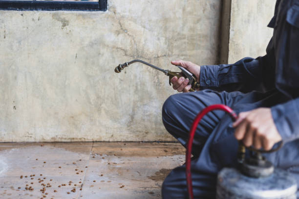 Best Wasp Removal Services  in Artondale, WA